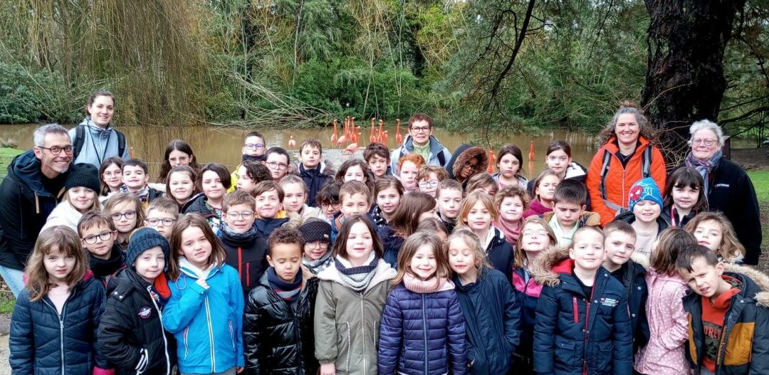 LES CP CE à l’école de la Nature à BRANFÉRÉ